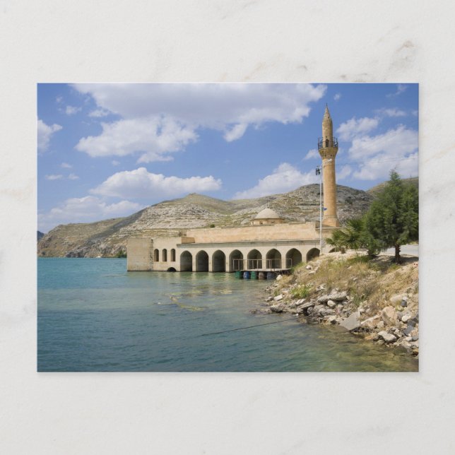 Carte Postale Mosquée centrale de Halfeti Merkez Camii) en parti (Devant)