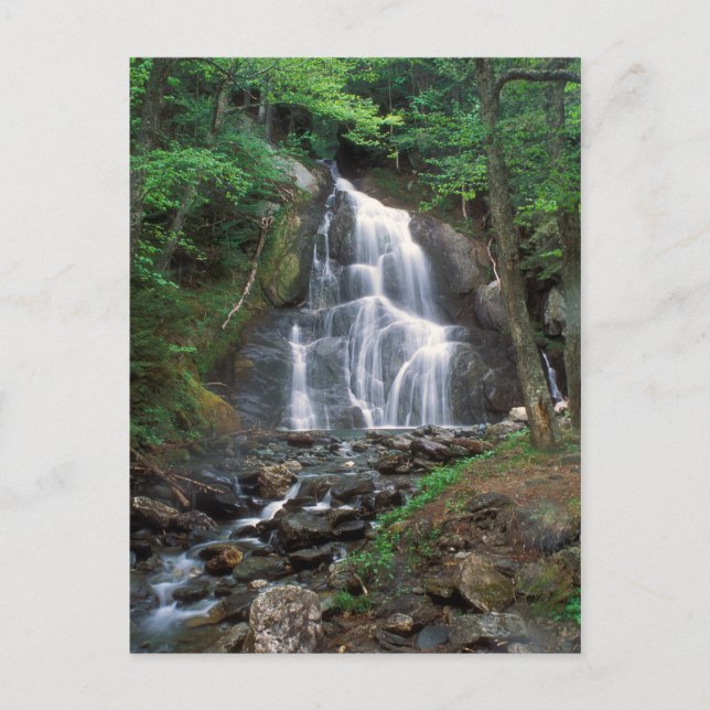 Carte Postale Moss Glen Falls Green Mounts Vermont (Devant)
