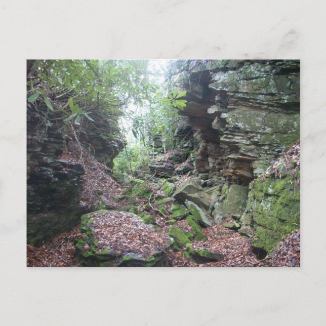 Carte Postale Moss sur Rocks Boulders dans le comté de Mercer WV (Devant)