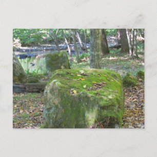 Carte Postale Mossy Rocks sur Bank