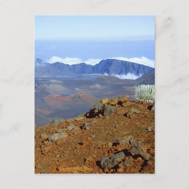 Carte Postale Mot d'argent sur la ceinture de cratère Haleakala  (Devant)