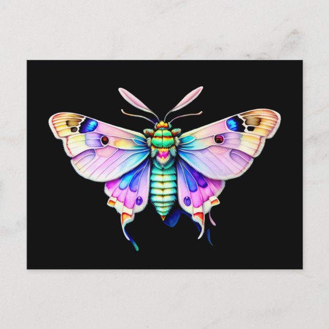 Carte Postale Moth Pastel, aquarelle, Croisement (Devant)