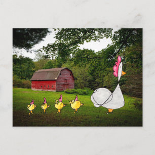 Carte postale Mother Hen