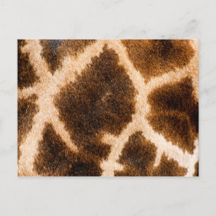 Carte Postale Motif à fourrure de girafe