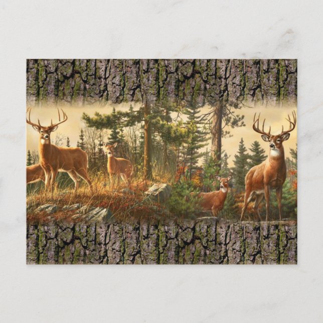 Carte Postale Motif d'alerte de cerfs (Devant)