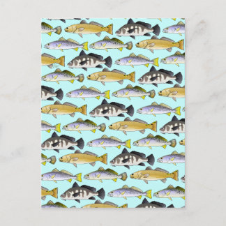 Carte Postale Motif de mer et de tambour en bleu