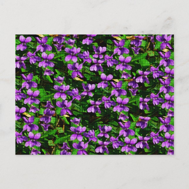 Carte Postale Motif de mosaïque en bois de violet de fleur WI (Devant)