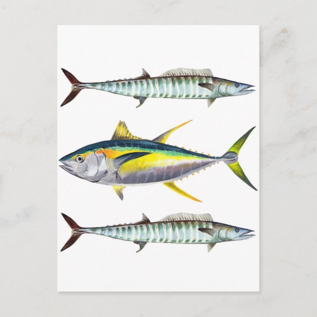 Carte Postale motif de poissons jauniers et wahoo (Devant)