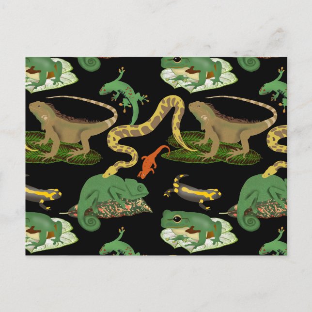 Carte Postale Motif de reptiles, lézards et amphibiens (Devant)