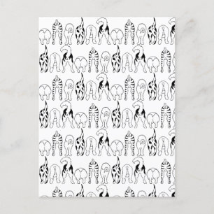 Carte Postale Motif des boutons de chien