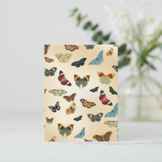 Carte Postale motif d'illustration de papillon vintage coloré