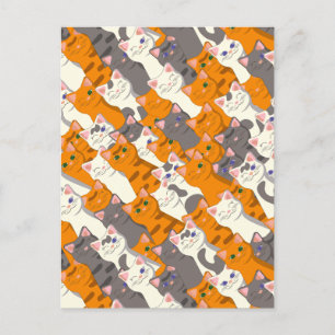 Carte Postale Motif en diagonale du chat noir blanc gingembre