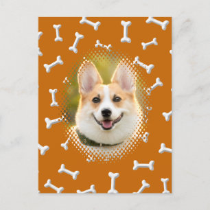 Carte Postale Motif osseux Chien Frame Art