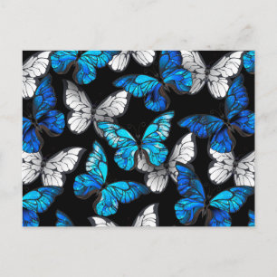 Carte Postale Motif sans couleur foncée avec papillons bleus Mor