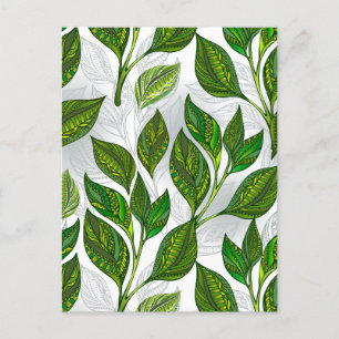 Carte Postale Motif sans couture avec Feuilles de thé vert