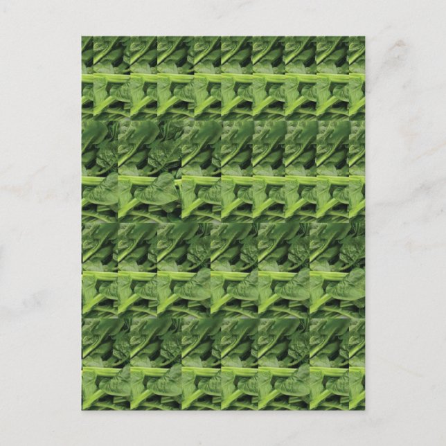 Carte Postale Motif végétal à feuilles vertes (Devant)