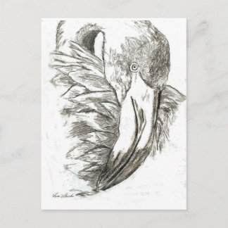 Carte Postale Motifs de Flamant rose