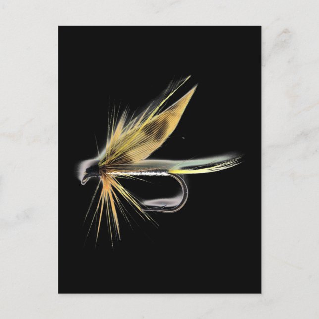 Carte Postale Mouche mouillée (Cumming's) (Devant)