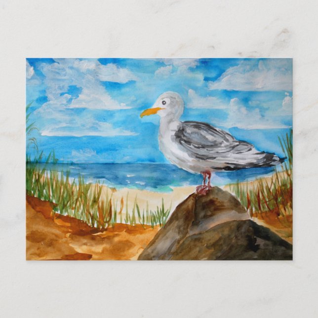 Carte Postale Mouette à la plage (Devant)