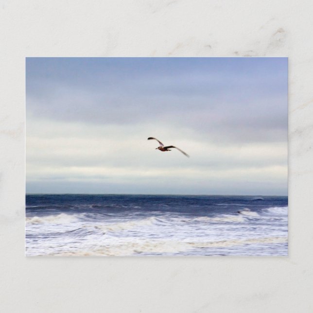Carte Postale Mouette au-dessus des vagues (Devant)