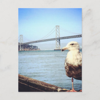Carte Postale Mouette de pont en Baie de San Franciso