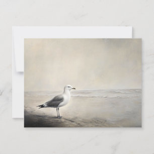 Carte Postale Mouette solitaire au bord de l'eau