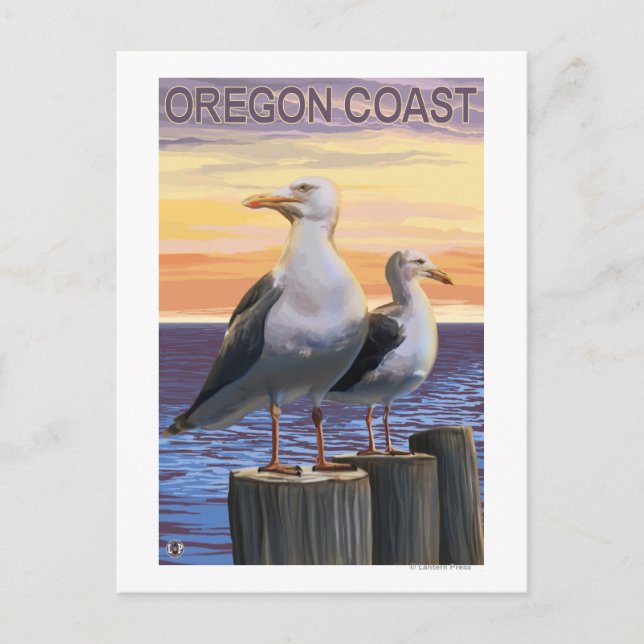 Carte Postale Mouettes de la mer de l'Oregon (Devant)