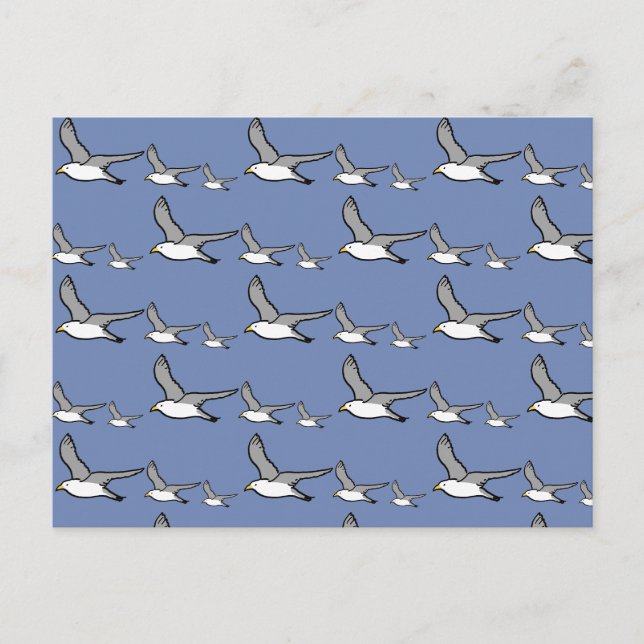 Carte Postale Mouettes en vol (Devant)