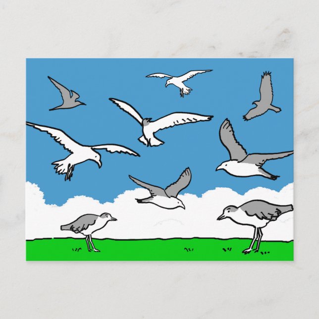 Carte Postale Mouettes en vol (Devant)