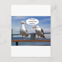 Mouettes parlant