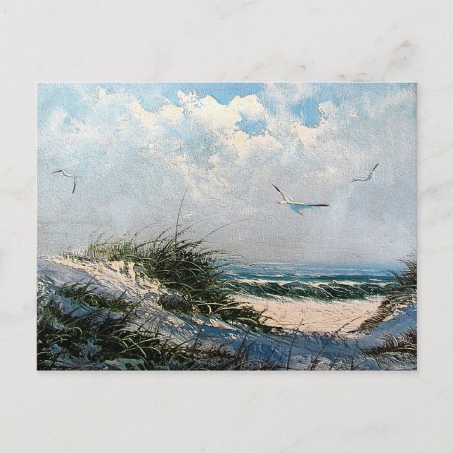 Carte Postale Mouettes sur la plage (Devant)