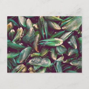 Carte Postale Moules vertes