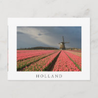 Moulin à vent avec tulipe rose au printemps