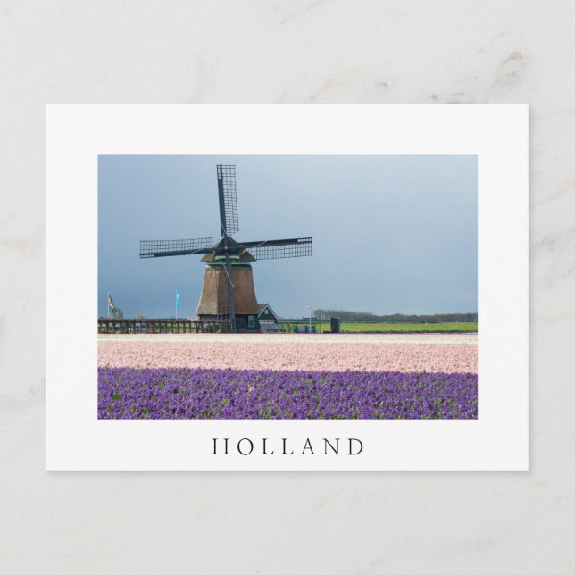 Carte Postale Moulin à vent traditionnel aux fleurs roses et vio (Devant)