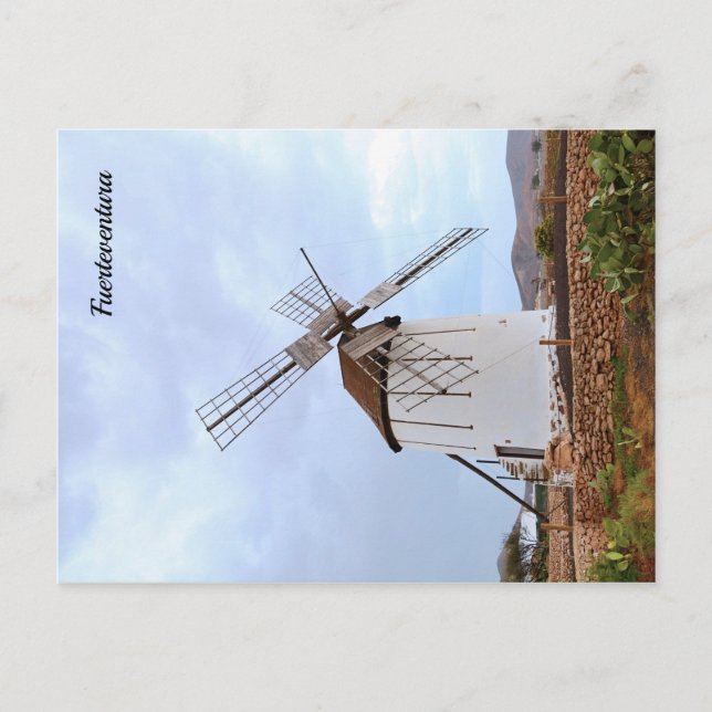 Carte Postale Moulin à vin à Fuerteventura. (Devant)