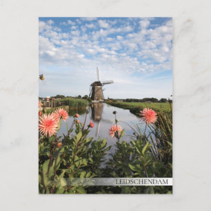 Carte Postale Moulin à vin et fleurs en Leidschendam