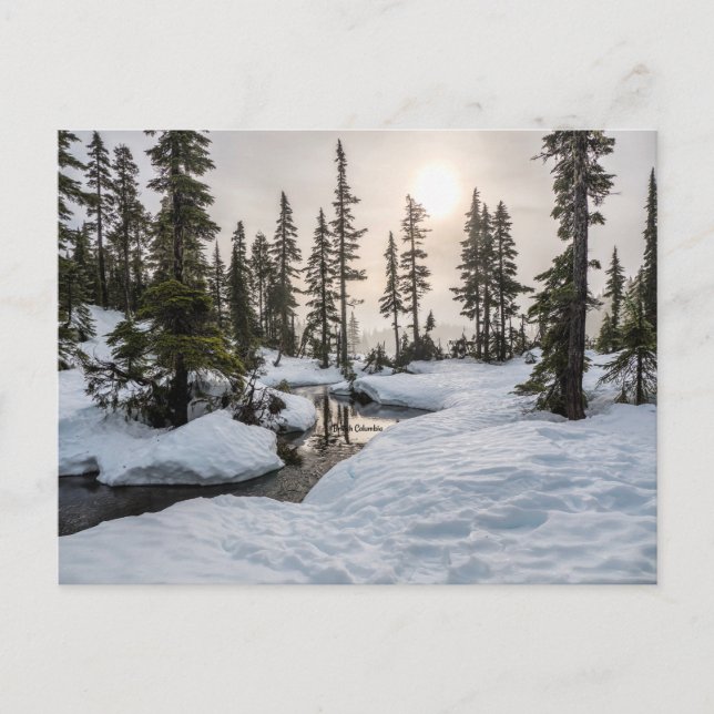 Carte Postale Mount Washington (Colombie-Britannique) (Devant)