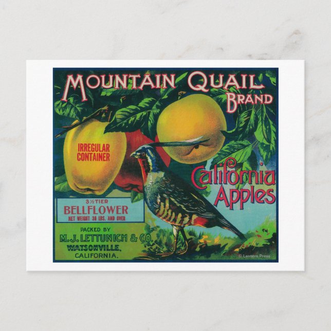 Carte Postale Mountain Quail Apple Crate Étiquette (Devant)