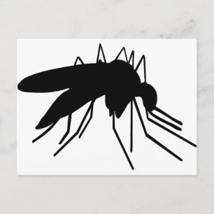 Carte Postale Moustique