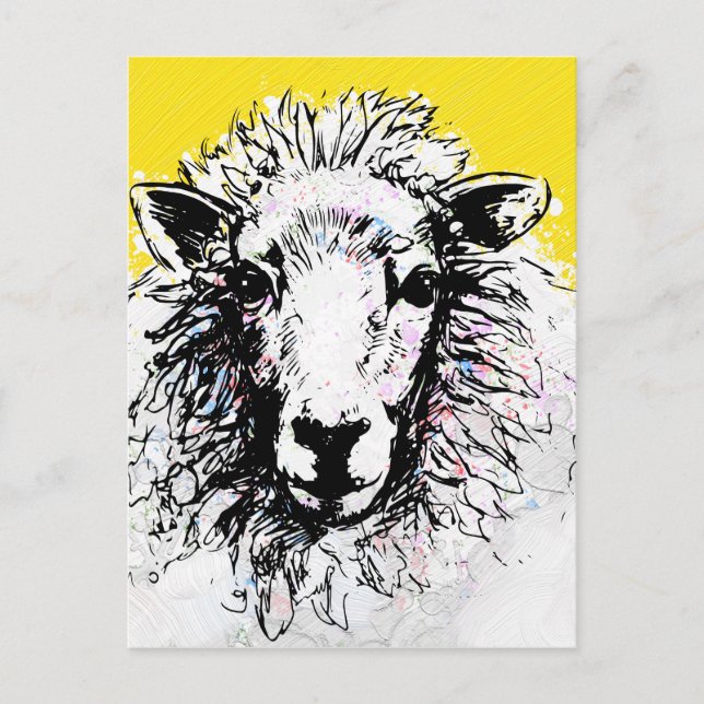 Carte Postale Mouton (Devant)