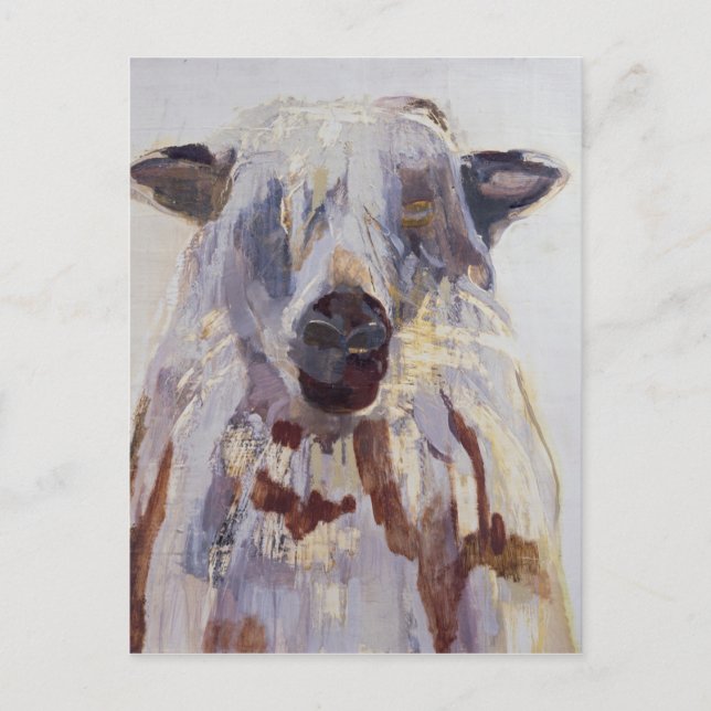 Carte Postale Mouton (Devant)