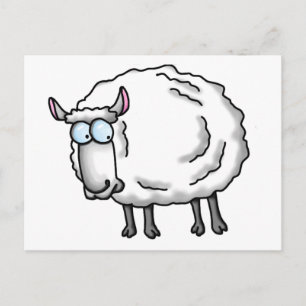 Carte Postale mouton blanc