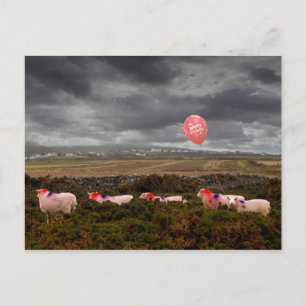 Carte Postale mouton d'anniversaire