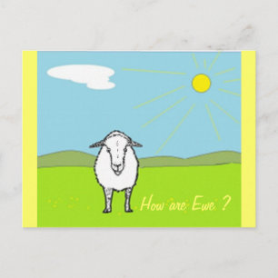 Carte Postale Mouton Dans Un Champ