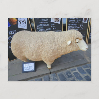 Carte Postale Mouton de rue