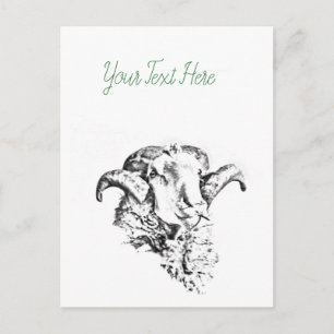 Carte Postale Mouton funky et mignon
