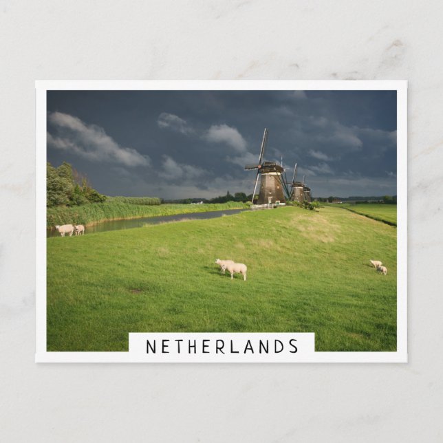 Carte Postale Moutons avec moulins à vent sous des nuages sombre (Devant)