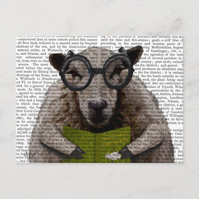 Carte Postale Moutons intelligents (Devant)