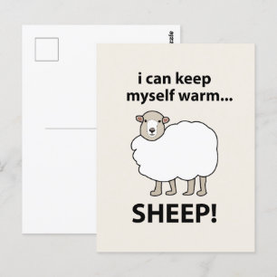 Carte Postale Moutons Je Peux Me Garder Moutons Chauds