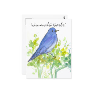 Carte Postale Moving Faire-part Nevada Bluebird Sagebrush